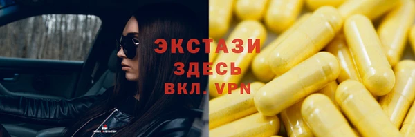стаф Алексин