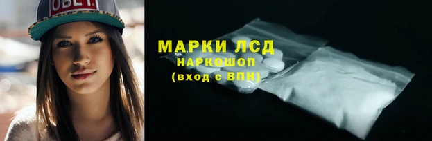 стаф Алексин
